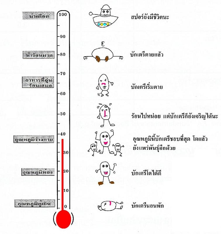 การพัฒนาโครงสร้างบรรจุภัณฑ์ ตอนที่ 4 (อันตราย และการขนส่ง